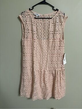 Ivy & Blu Lace Shift Dress Cap Sleeve Drop Waist Size 14 New Feminine Romantic